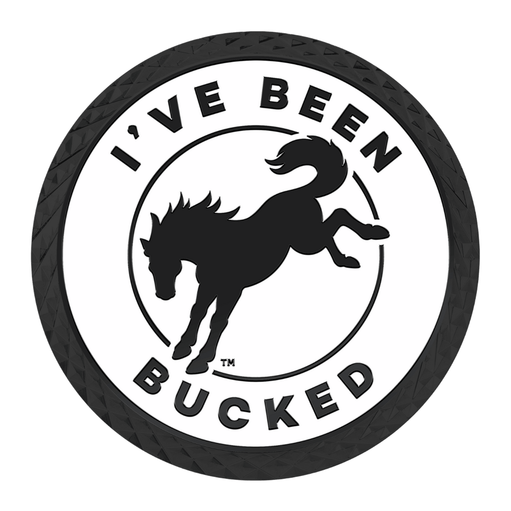 IBB Partner: LEED Racing
