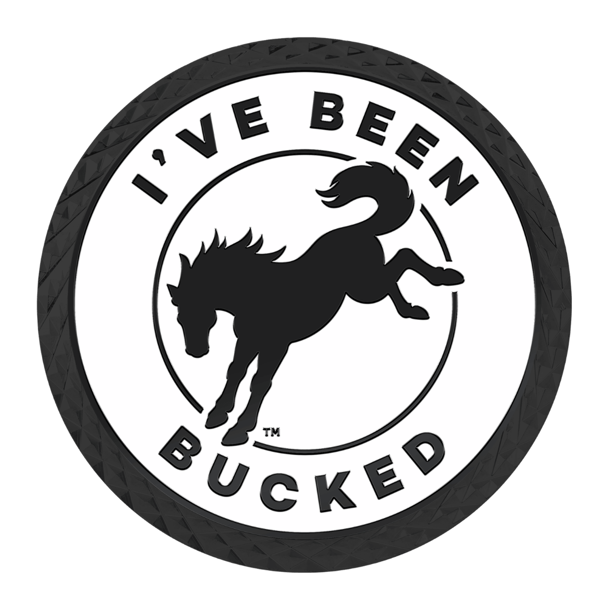 IBB Partner: LEED Racing
